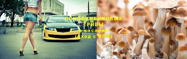 spice Алексин