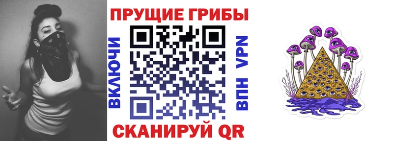 блэк спрут как зайти Мантурово Псилоцибиновые грибы MAGIC MUSHROOMS